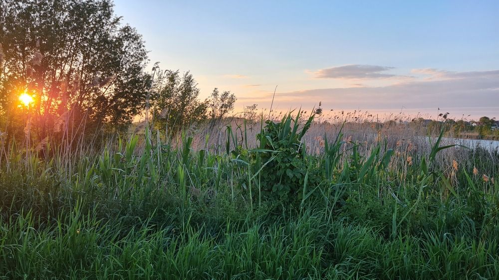 Photograph by Елена Кольцина