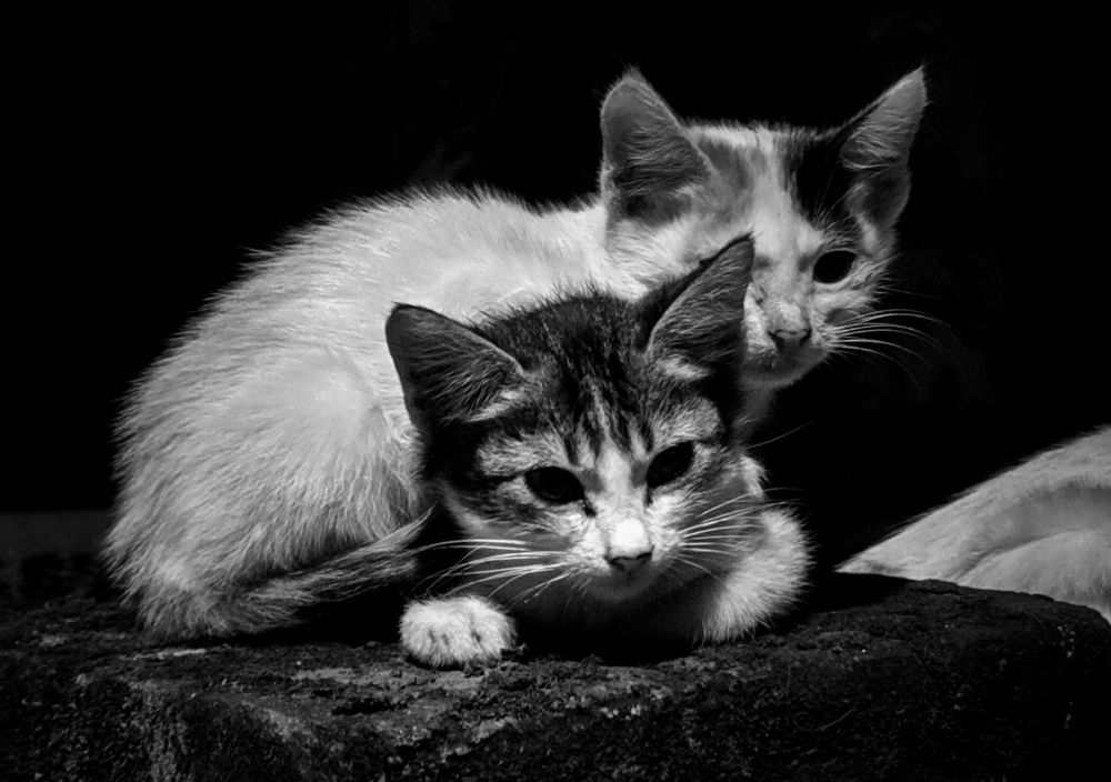 Photograph by Arunadoy Chandra
