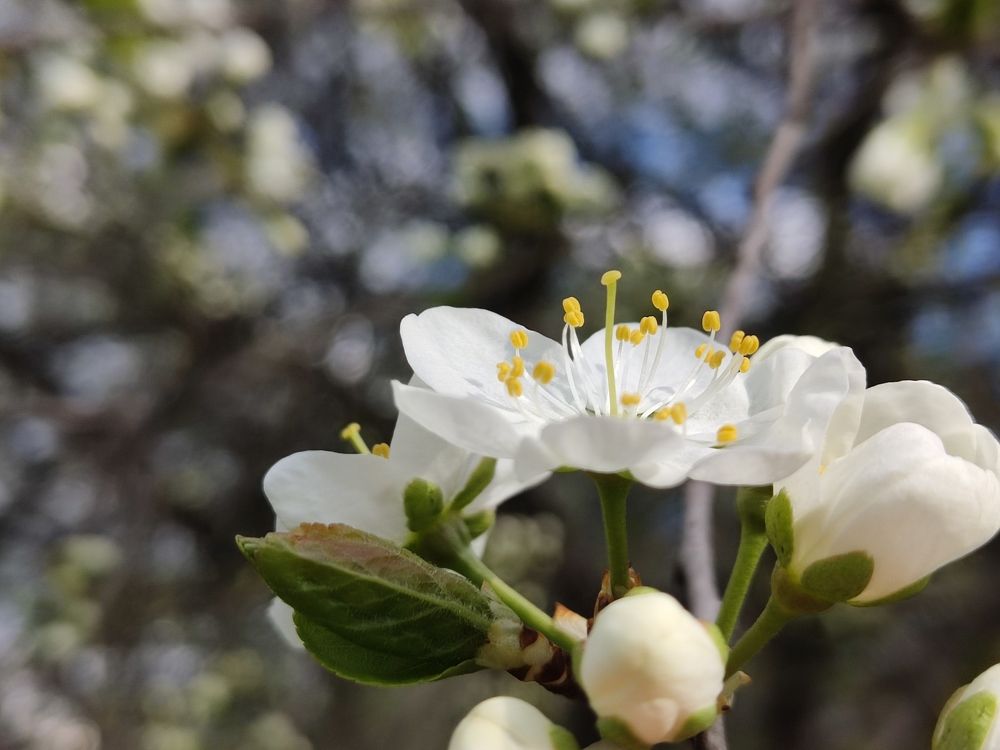 Photograph by Андрей Головин
