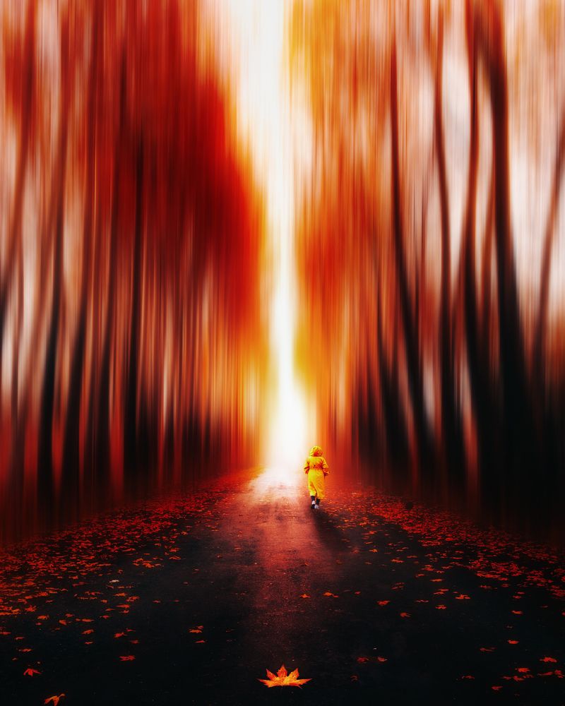 Photograph by Sajad Nori