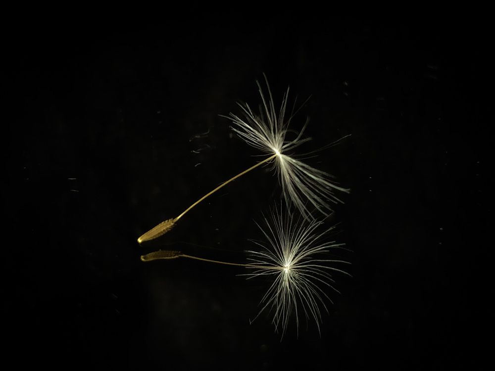 «Невыносимая легкость бытия»