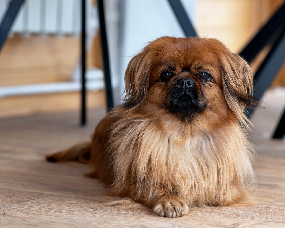 Photograph by Юлия Петухова