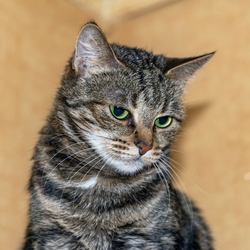 Photograph by Валерий Петухов