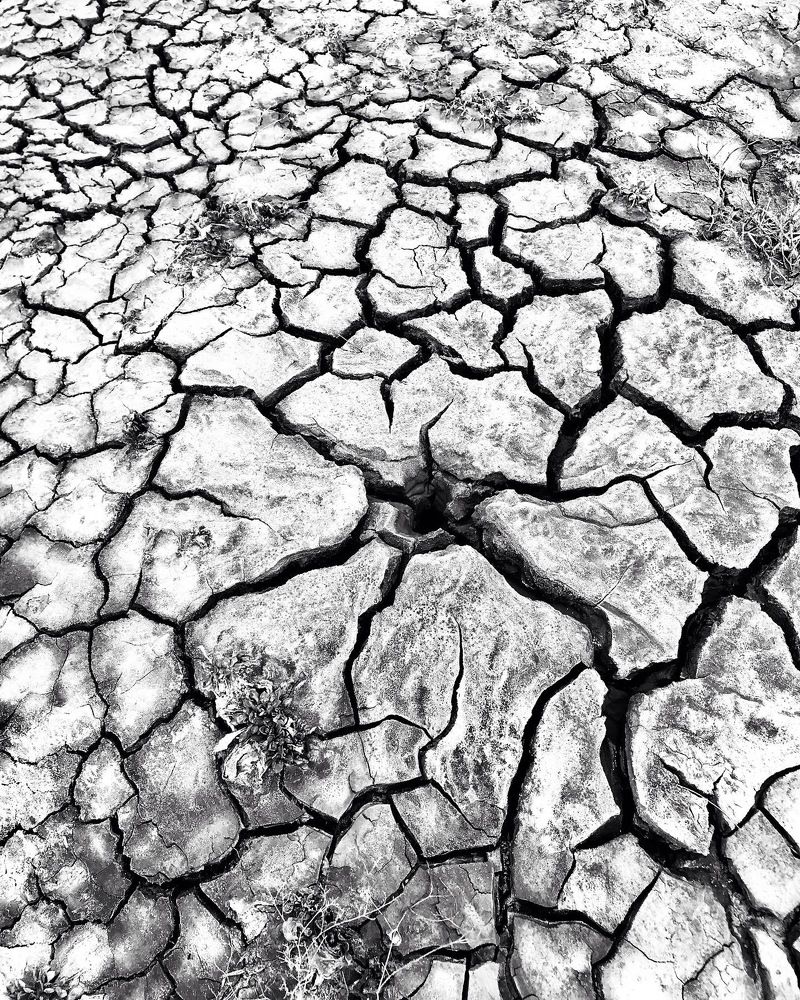 Photograph by Елизавета Медведева