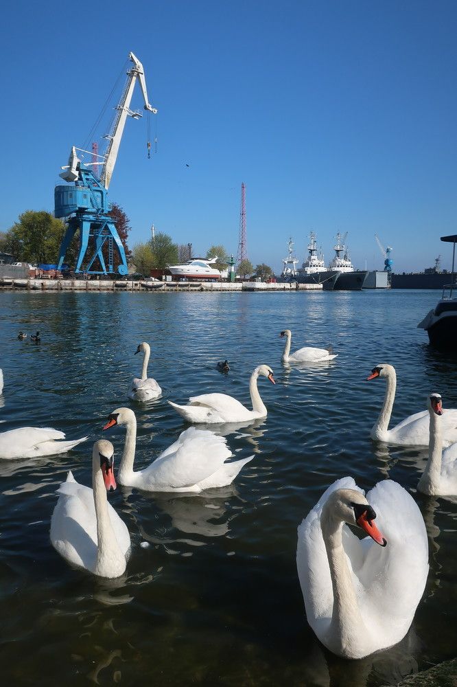 Photograph by Ольга Стоун