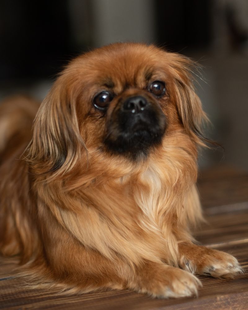 Photograph by Юлия Петухова