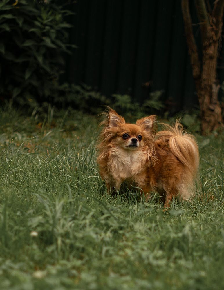 Photograph by Юлия Петухова