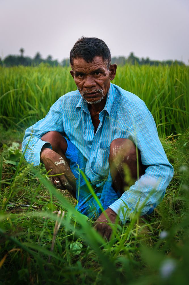 Фотография автора Dipayan Biswas