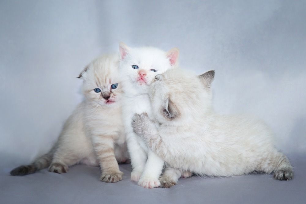 Photograph by Elena Gebert