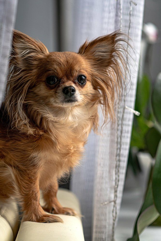 Photograph by Юлия Петухова