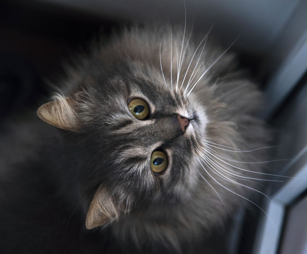 Photograph by Людмила Сиденко