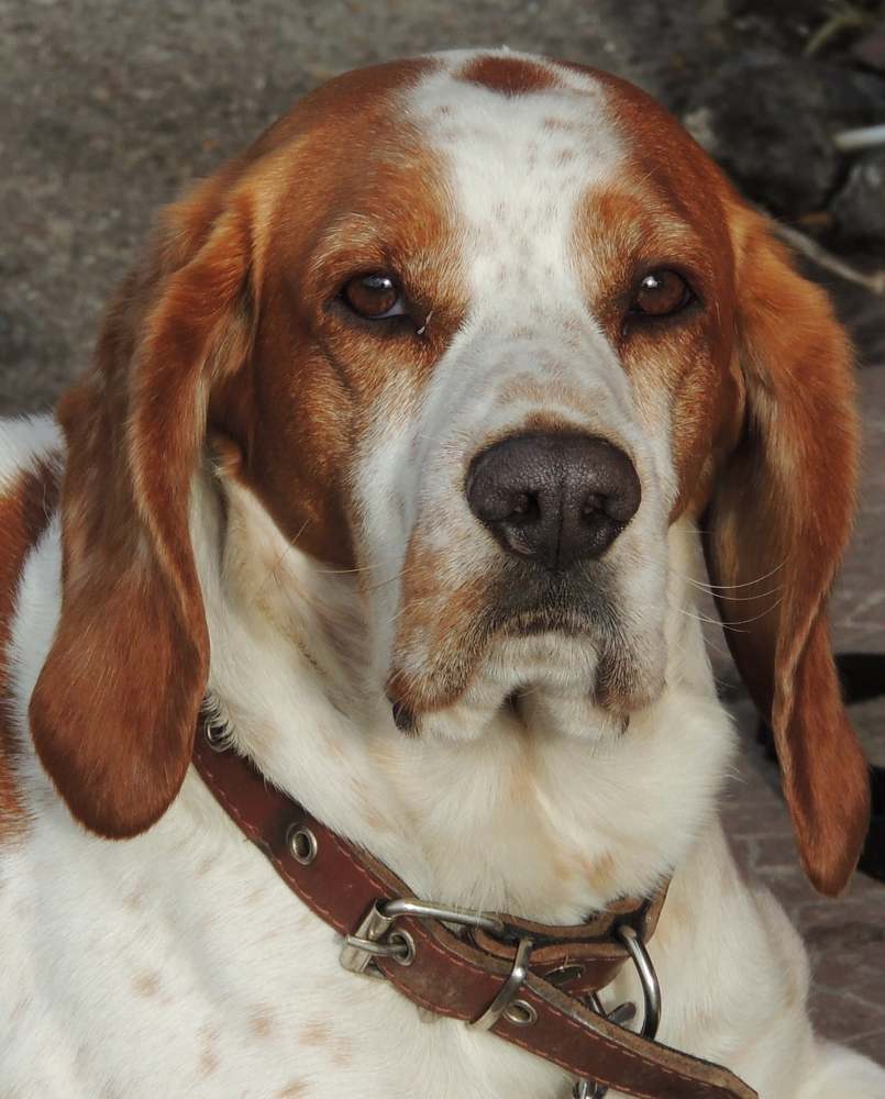 Photograph by Олександр Розум