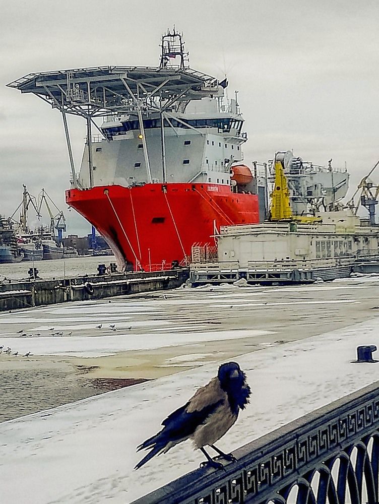 Фотография автора Юрий Цыркунов