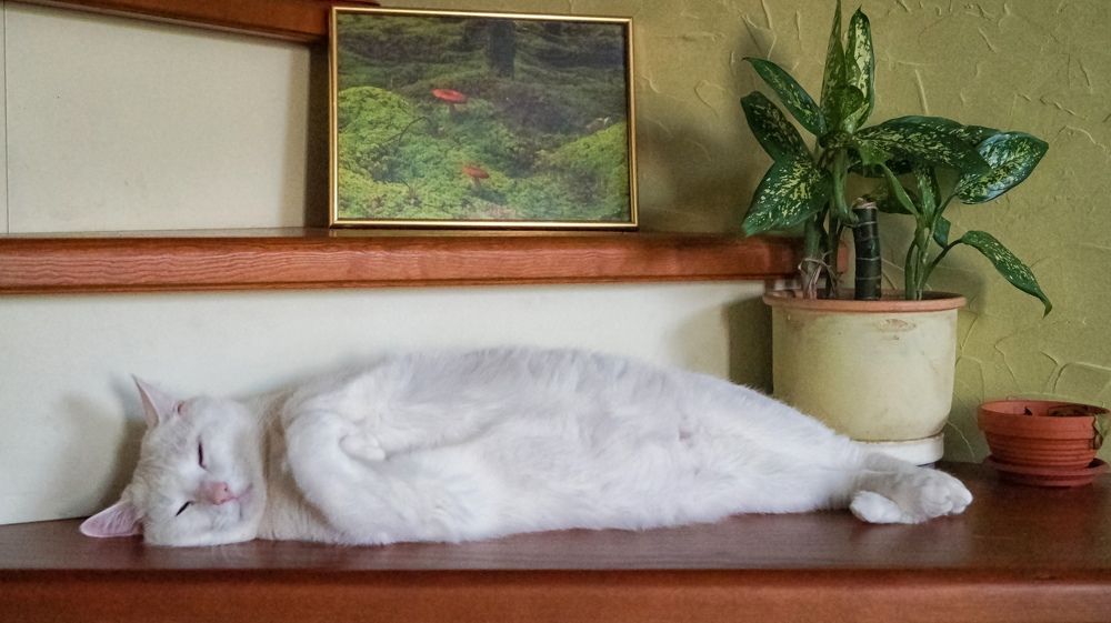 Фотография автора Юрий Цыркунов