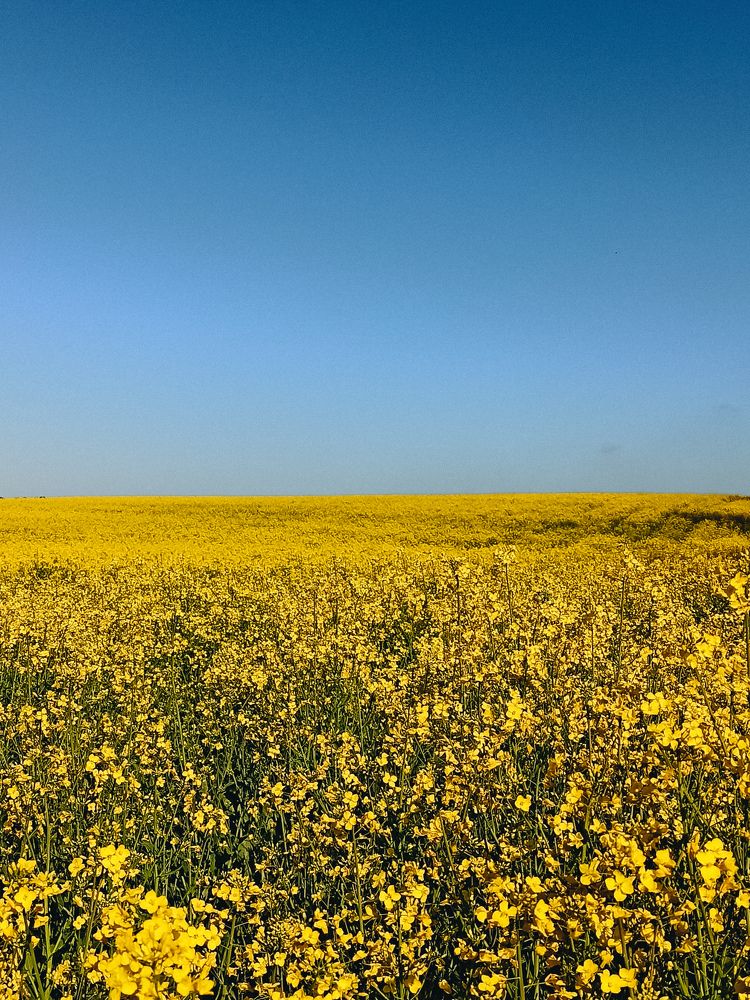 Photograph by Ира Талапчук