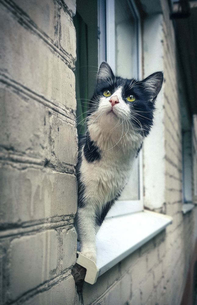 Photograph by Стариков Алексей