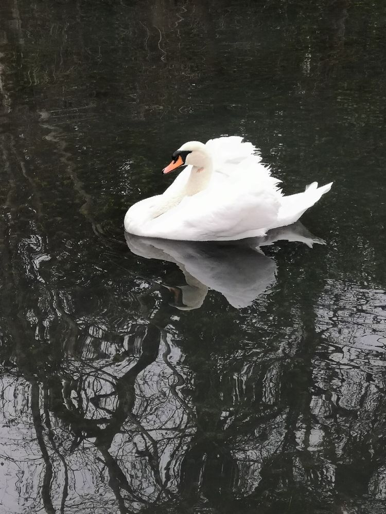 Photograph by Ольга