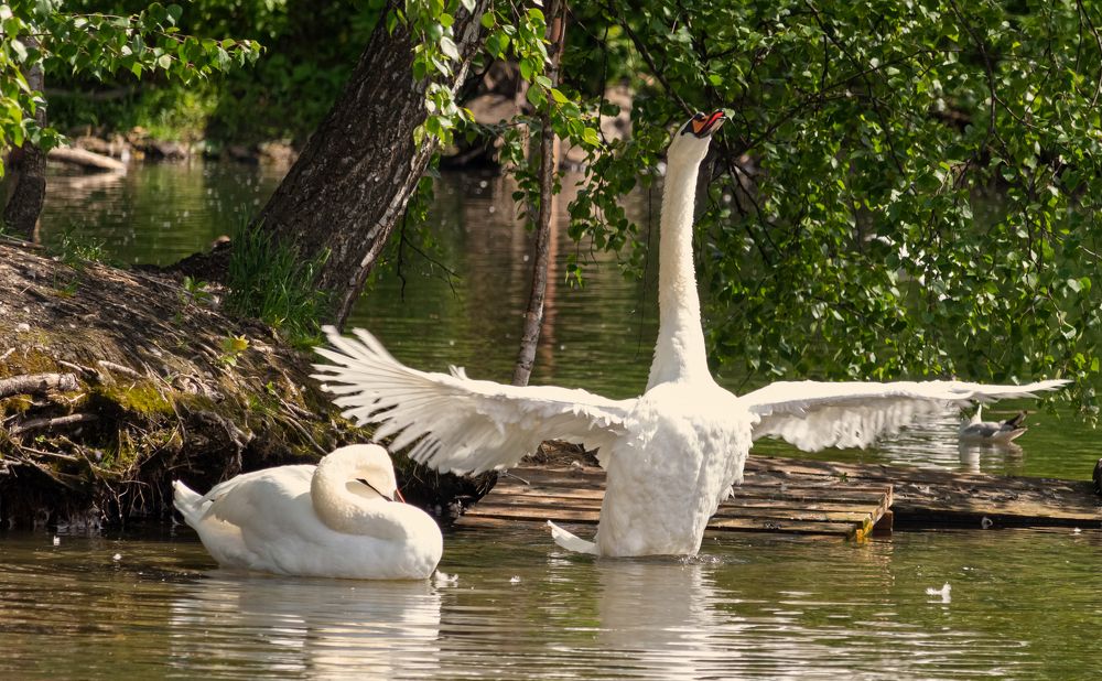 Photograph by Лев Постнов