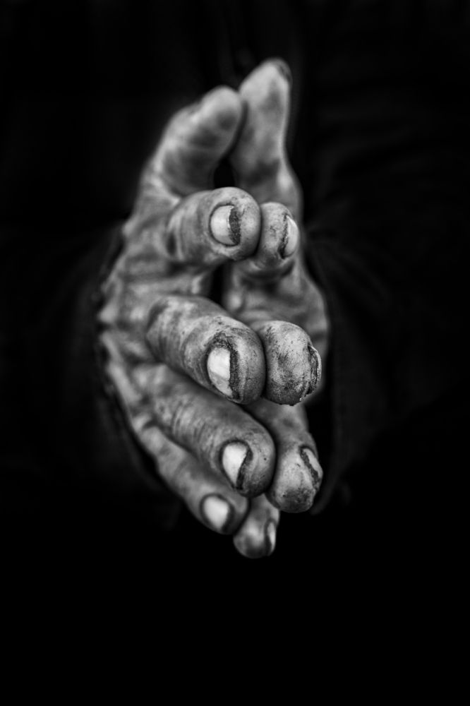 Photograph by Morteza