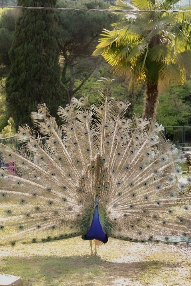 Photograph by Tatiana Mishchenko