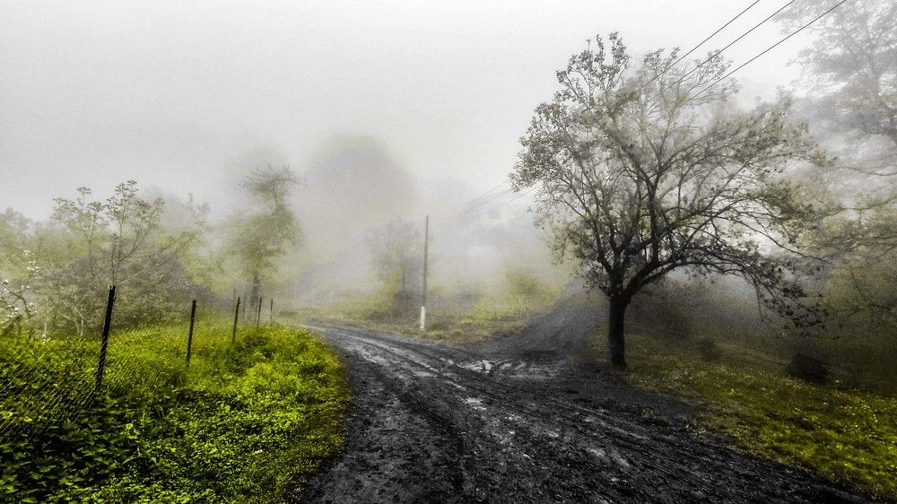 Фотография автора Vahid Basiri