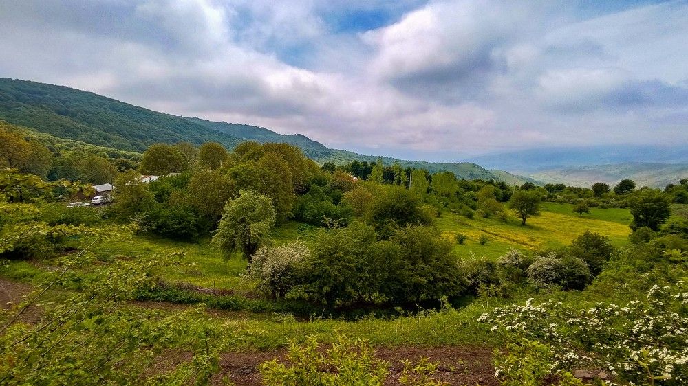 Фотография автора Vahid Basiri