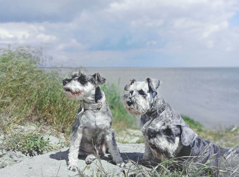 Photo #7573212