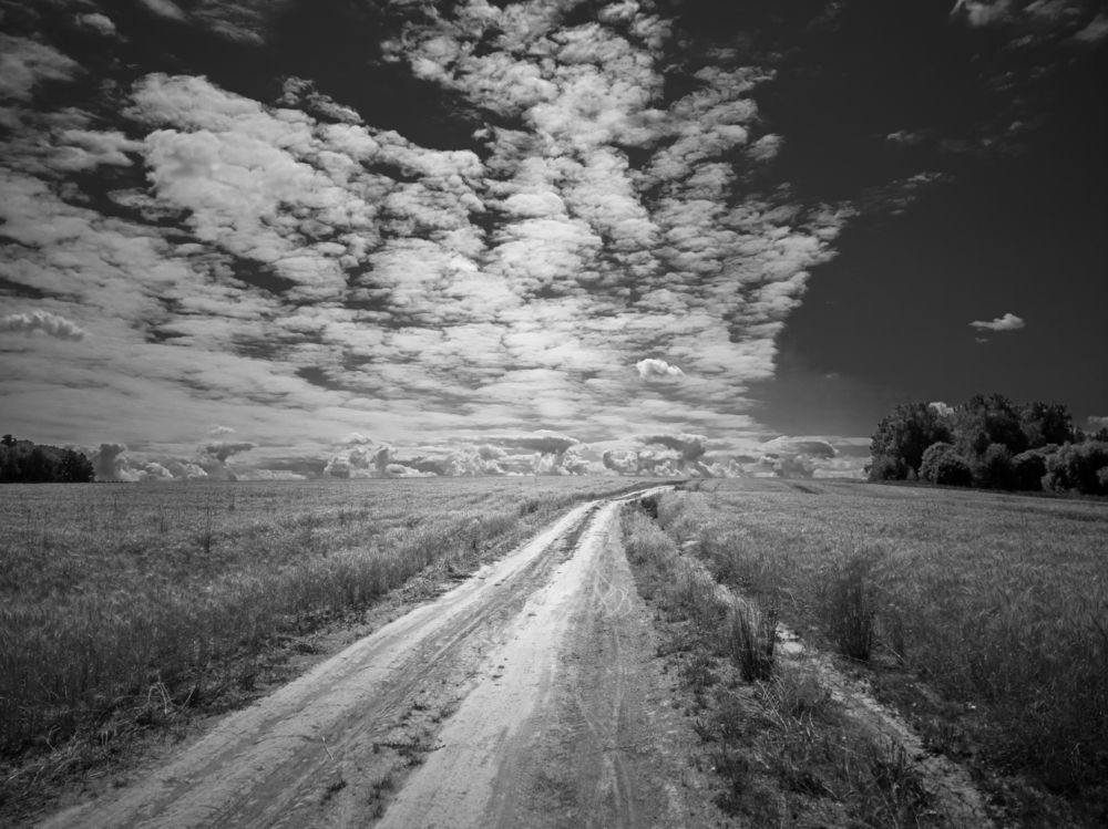 Photograph by Алексей Чеботарев