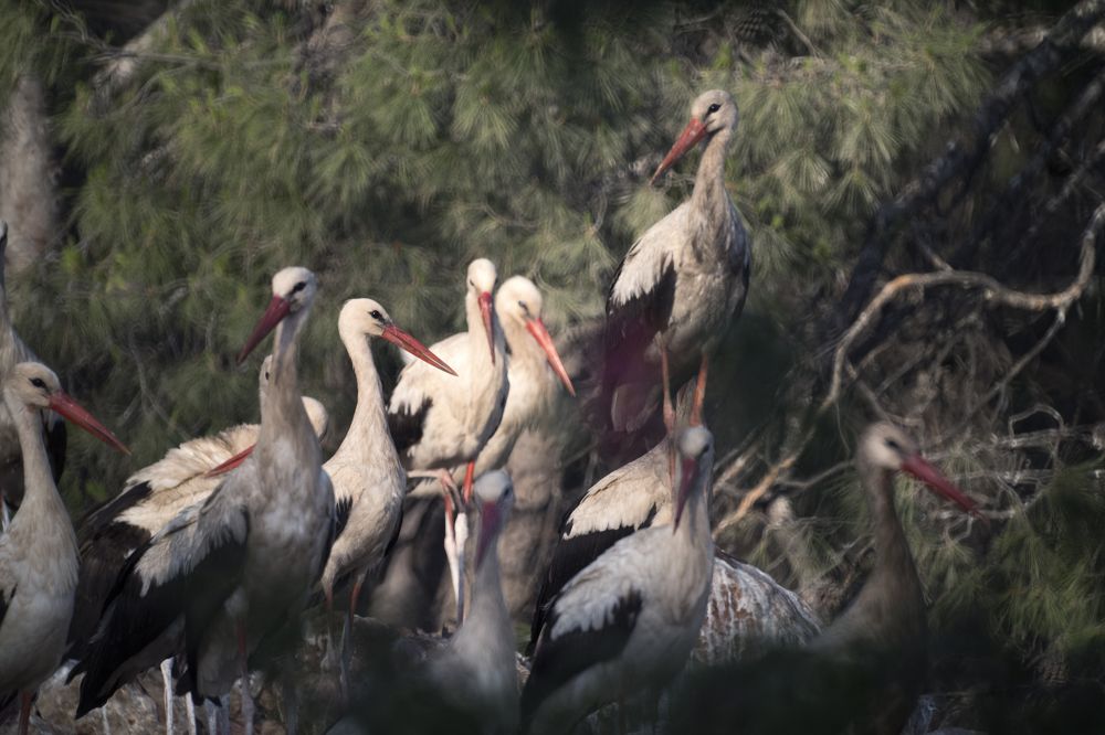 Photograph by Антон Шаркас