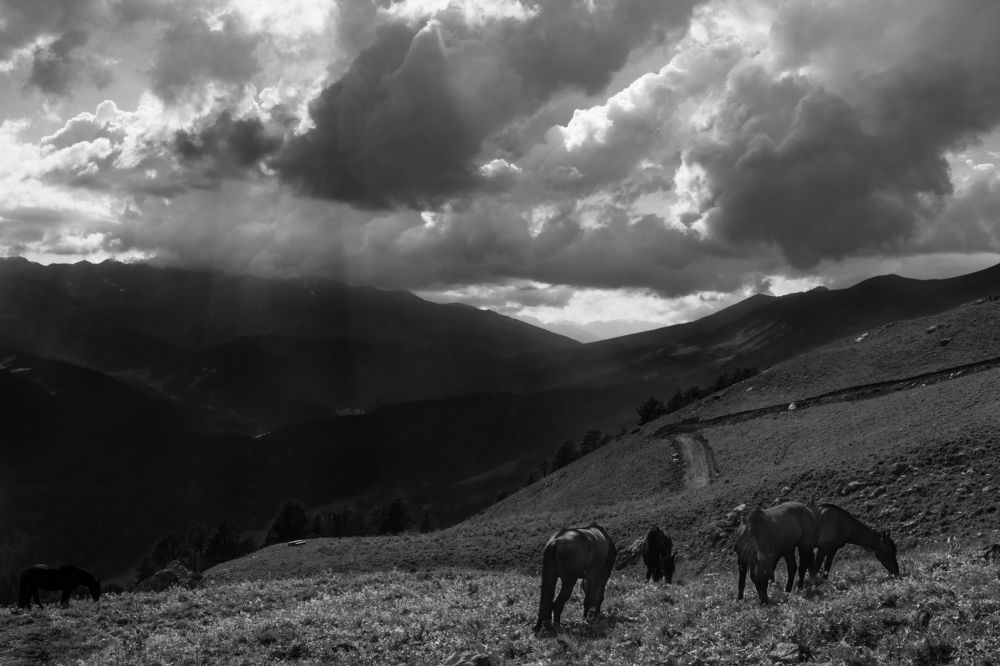 Photograph by Артем Васильев