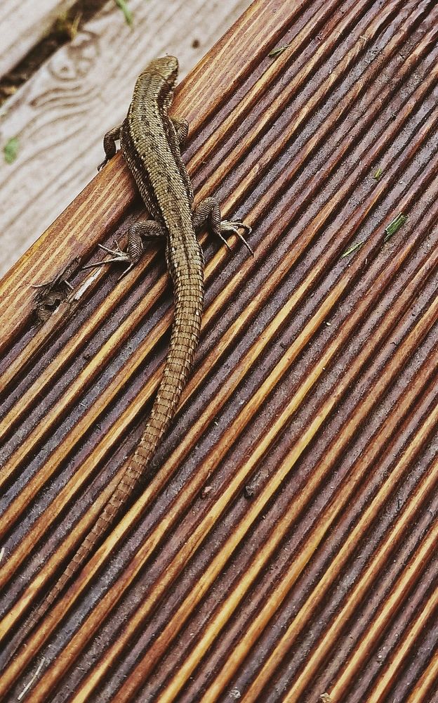 Photograph by Vera Vinogradova