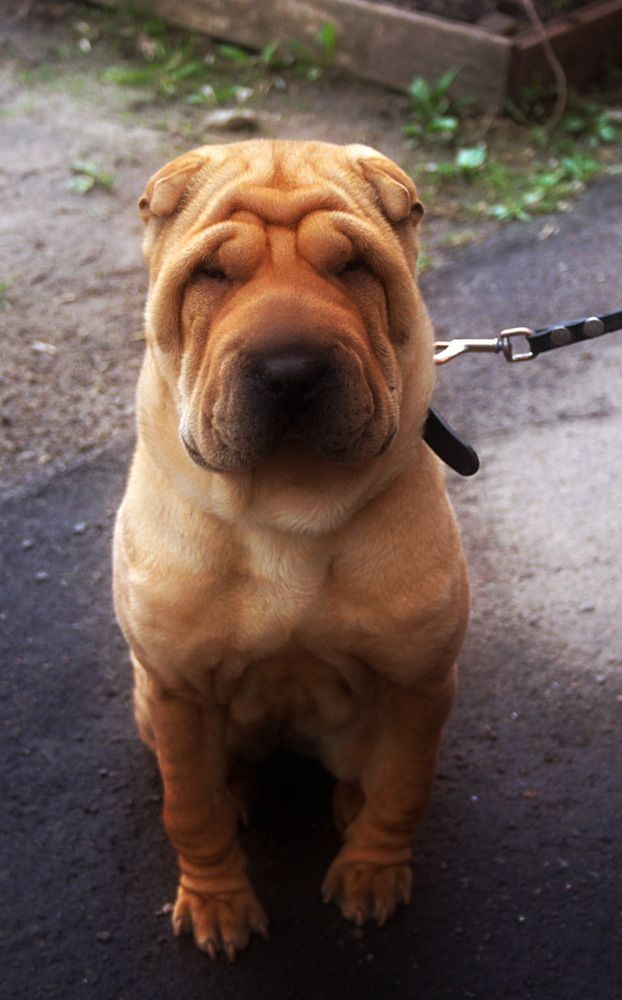 Photograph by Yroslava Veretina