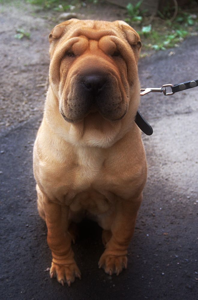 Photograph by Yroslava Veretina