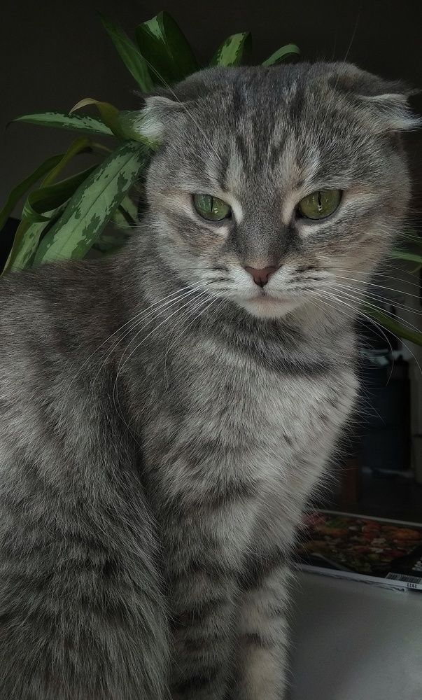 Photograph by Светлана Безъязычная