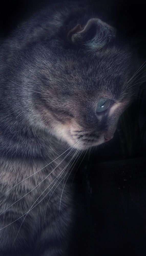 Photograph by Светлана Безъязычная