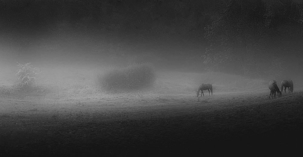 Photograph by Запылаева Анна