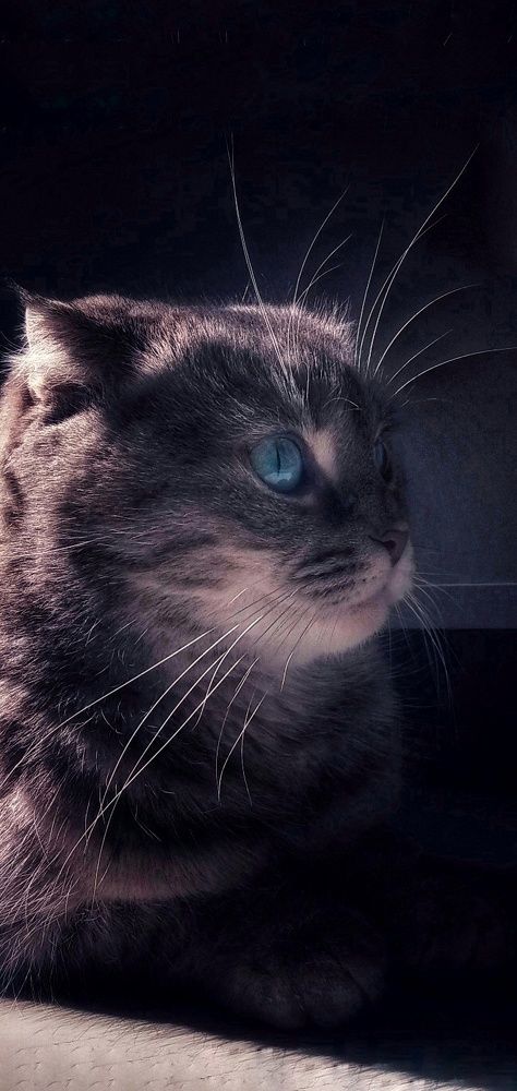 Photograph by Светлана Безъязычная