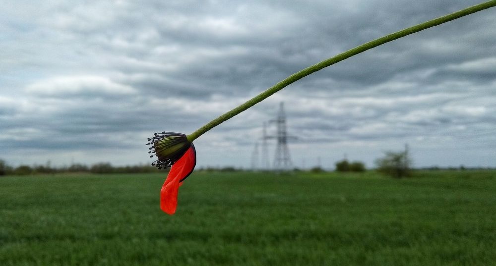 Photograph by Светлана Безъязычная