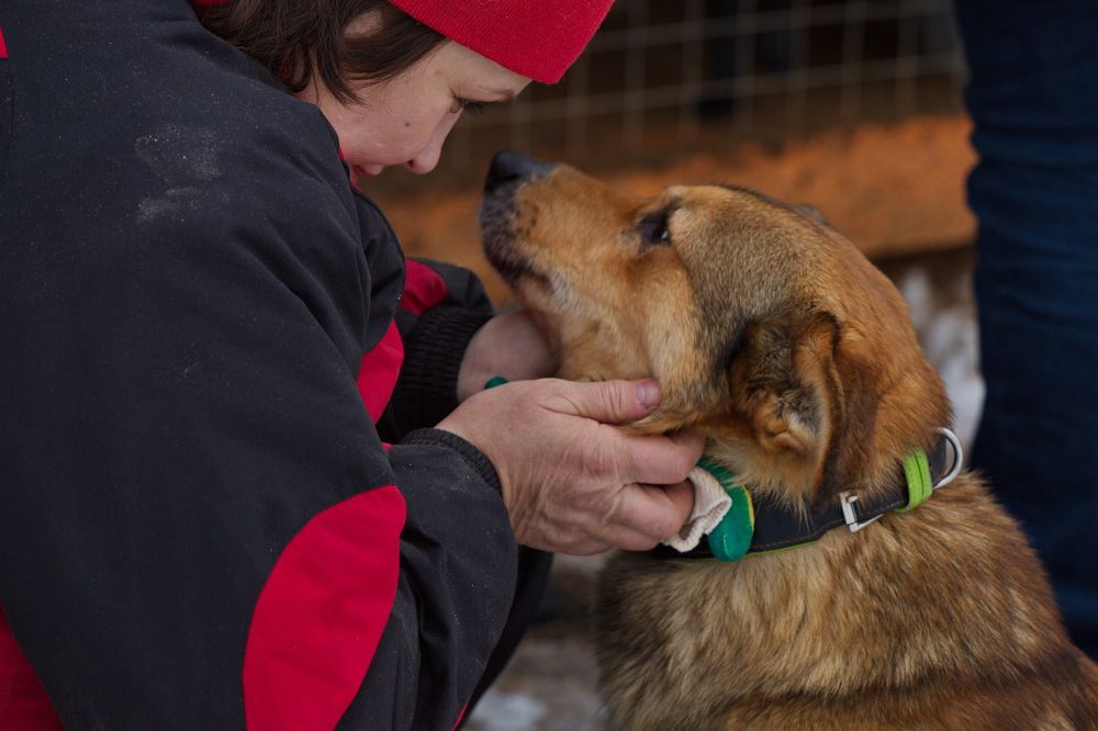 Photograph by Олег Раков