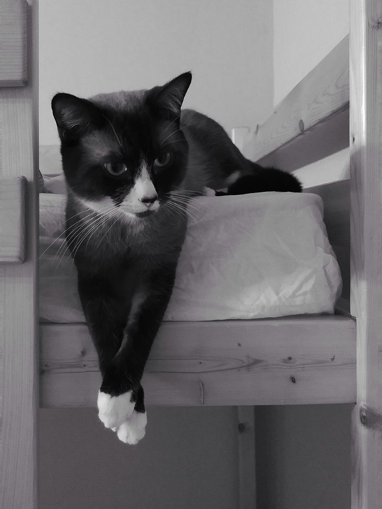 Photograph by Mila Vshivkova