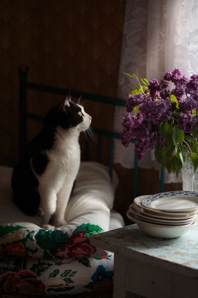 Photograph by Iryna Matvieienko