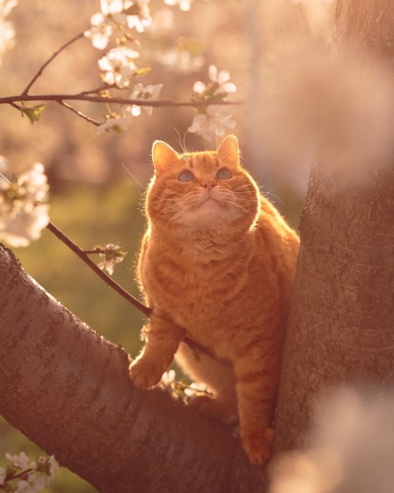 Photograph by Iryna Matvieienko