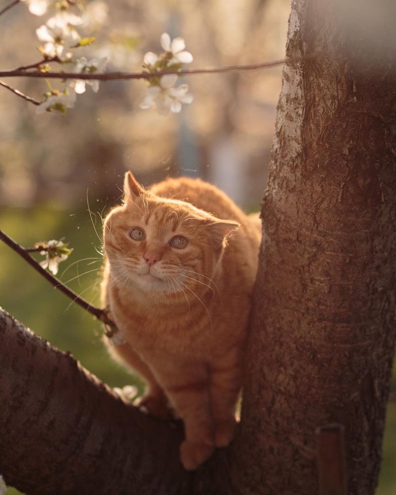 Photograph by Iryna Matvieienko