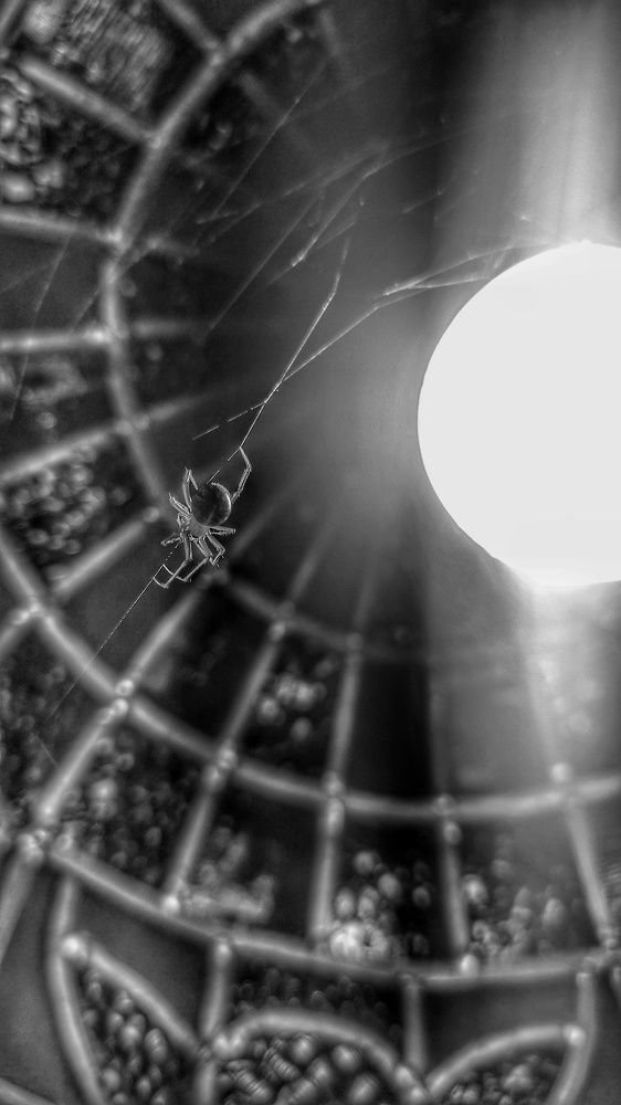 Photograph by Colmenarez nileydi