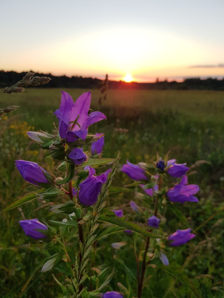 Photograph by Ignatov Yury