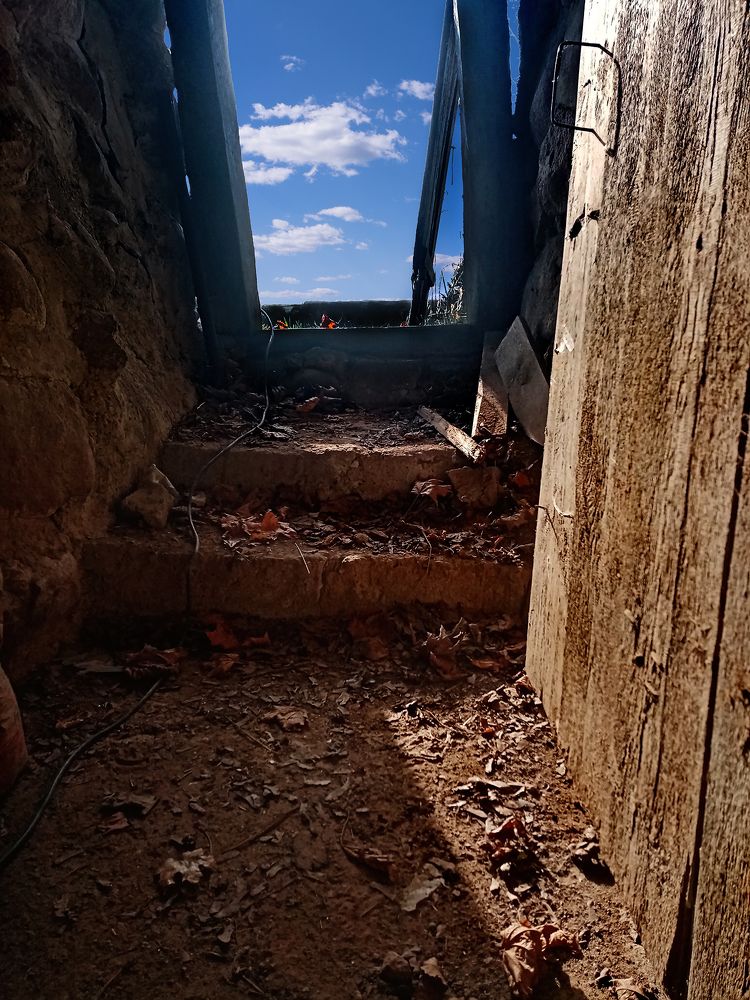 Фотография автора Невмержицкий Валерий