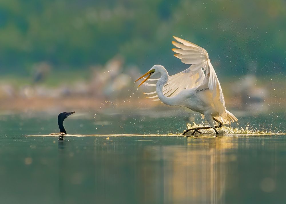 Photograph by YEDU KRISHNAN K B