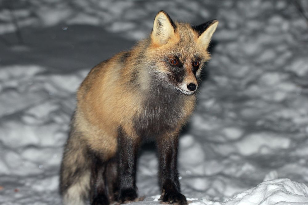 Photograph by Сергей Хитра