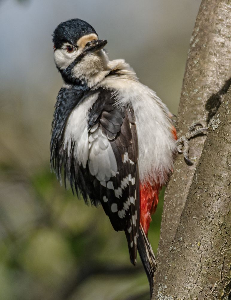 Photograph by Курлянцев Алексей