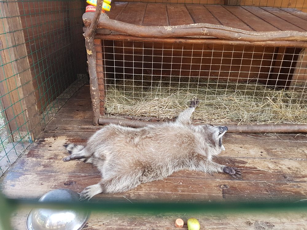 Photograph by Tatiana Denisova